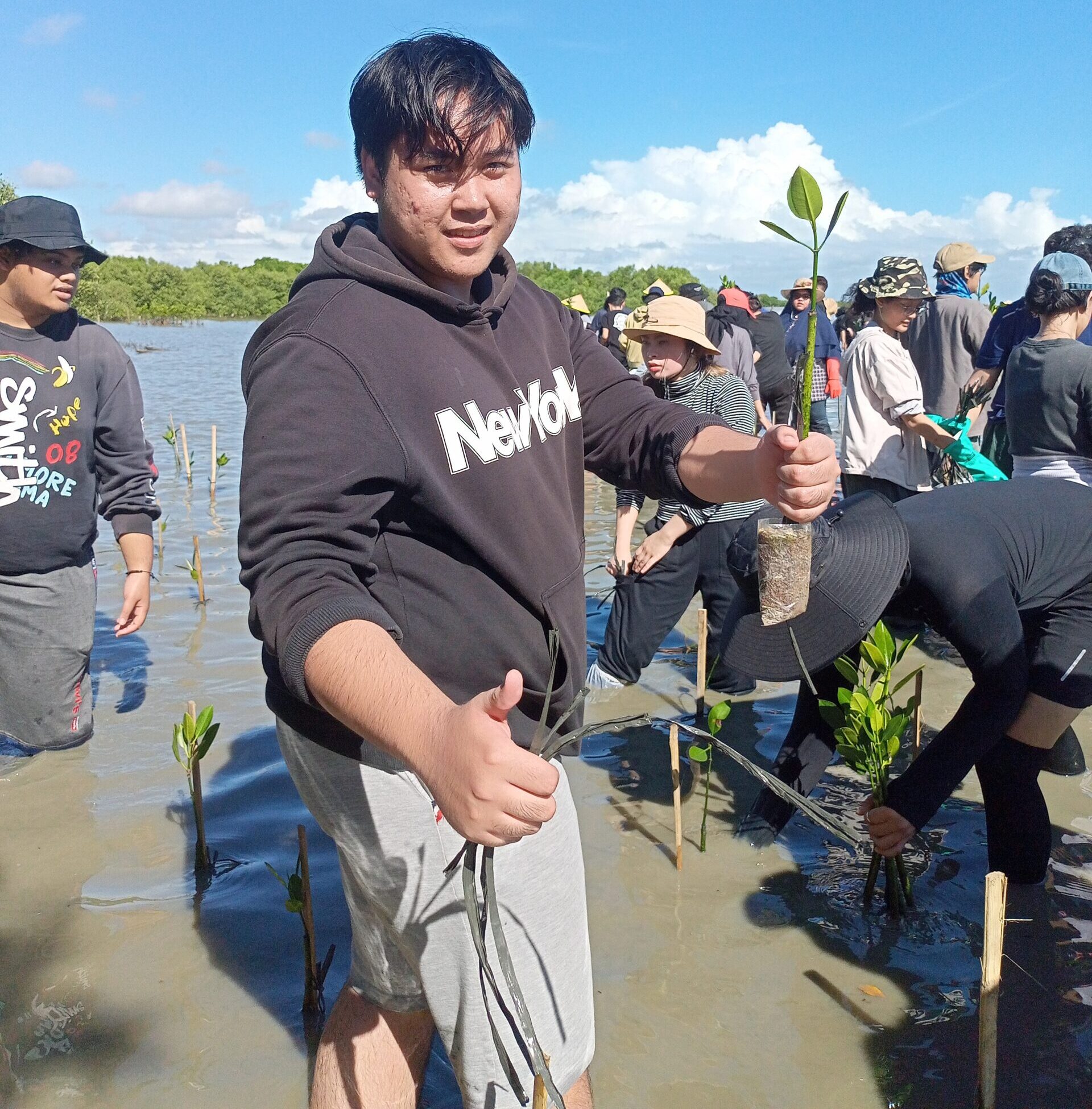 Penanaman Pohon Mangrove